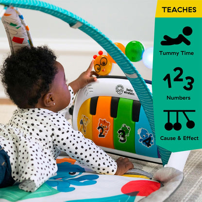 4-In-1 Music Play Mat